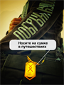 Набор 55 русских рун с названием рун 10015